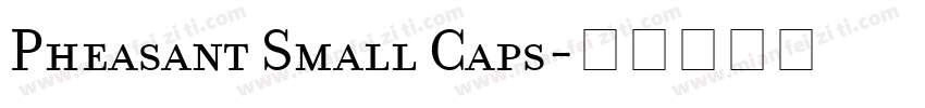 Pheasant Small Caps字体转换